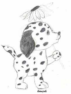 Dalmation with Daisy