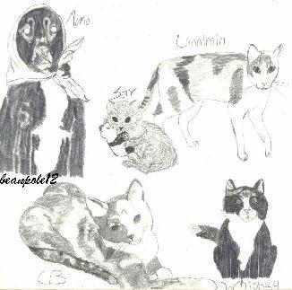 Pet Collage