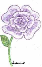 Purple Flower