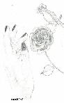 Hand and roses