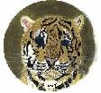 Baby Leopard Plate