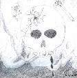 Skull with Bullet Hole